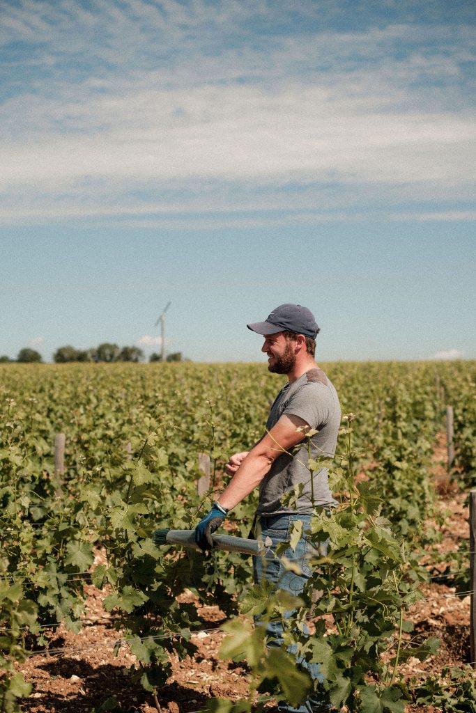 Domaine Régis Minet Sébastien vignes