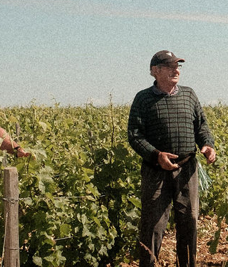 Domaine Régis Minet Michel