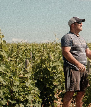 Domaine Régis Minet Horacio vigne