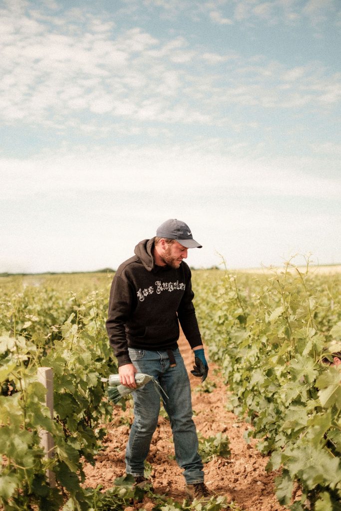 Domaine Régis Minet Sébastien